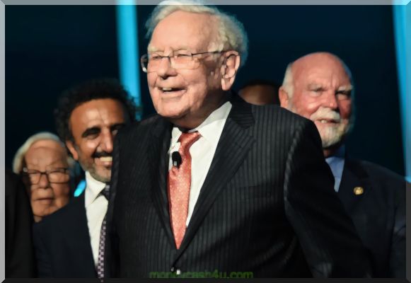 zakelijke leiders : Invest Like Buffett: Building A Baby Berkshire