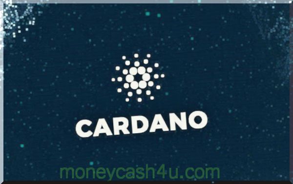 negocis : Cardano pretén crear un ecosistema de criptocurrency estable