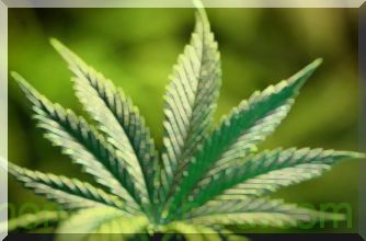 banca : Els venedors curts de marihuana han perdut 626 milions de dòlars des de l'agost: informe