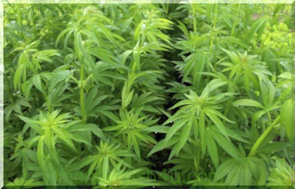 bancario : Constellation invierte $ 4B adicionales en cultivador de marihuana