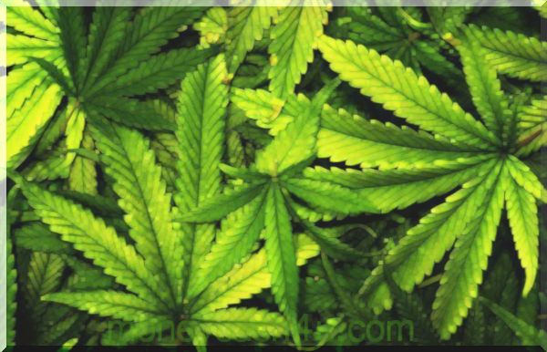 bank : 5 mest populære måder at forbruge cannabis på